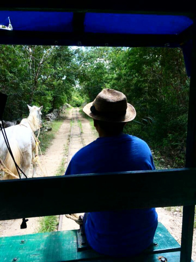 Horse drawn ride out to the cenotes.