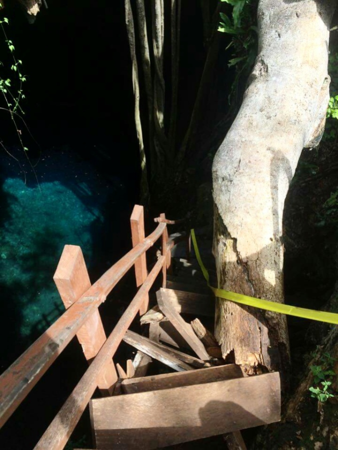 A tree had fallen and broken the stairs